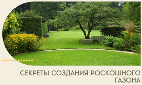 Секреты создания роскошного газона в Гае